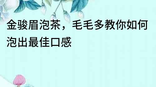 金駿眉泡茶，毛毛多教你如何泡出最佳口感