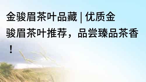 金駿眉茶葉品藏 | 優質金駿眉茶葉推薦，品嘗臻品茶香！
