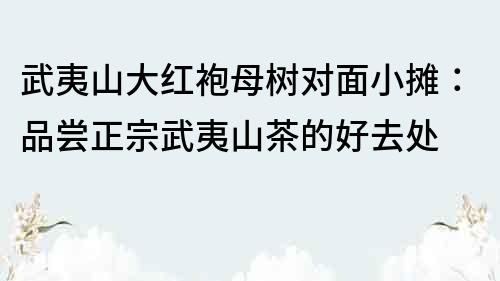 武夷山大紅袍母樹對面小攤：品嘗正宗武夷山茶的好去處