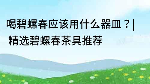 喝碧螺春應(yīng)該用什么器皿？| 精選碧螺春茶具推薦