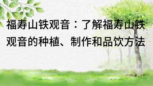 福壽山鐵觀音：了解福壽山鐵觀音的種植、制作和品飲方法