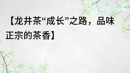 【龍井茶“成長”之路，品味正宗的茶香】