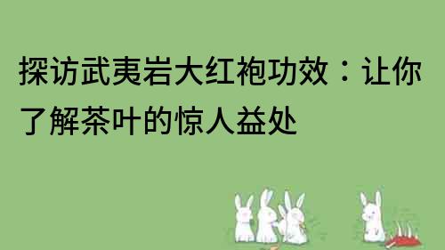 探訪武夷巖大紅袍功效：讓你了解茶葉的驚人益處