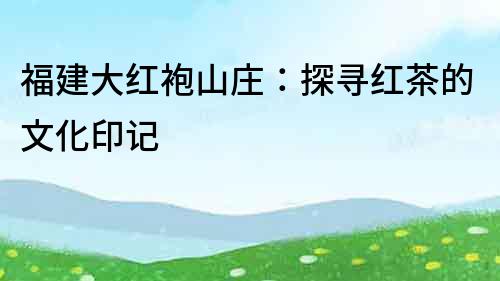 福建大紅袍山莊：探尋紅茶的文化印記