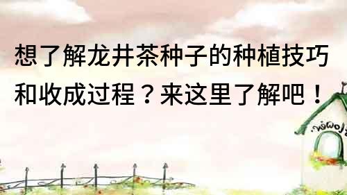 想了解龍井茶種子的種植技巧和收成過程？來這里了解吧！