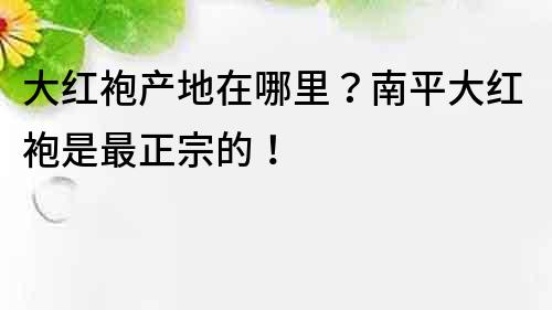 大紅袍產地在哪里？南平大紅袍是最正宗的！