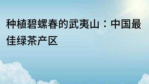 種植碧螺春的武夷山：中國最佳綠茶產(chǎn)區(qū)