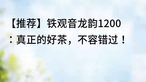 【推薦】鐵觀音龍韻1200：真正的好茶，不容錯過！