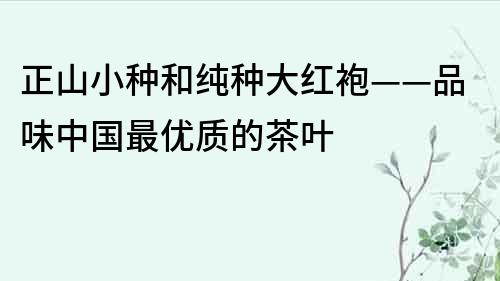 正山小種和純種大紅袍——品味中國最優質的茶葉