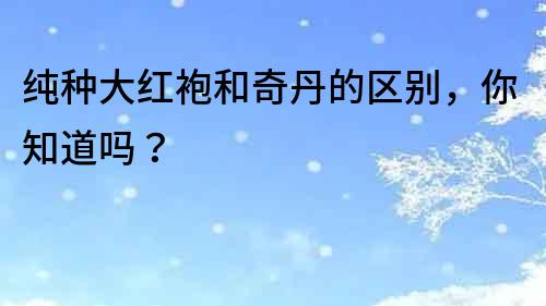 純種大紅袍和奇丹的區別，你知道嗎？