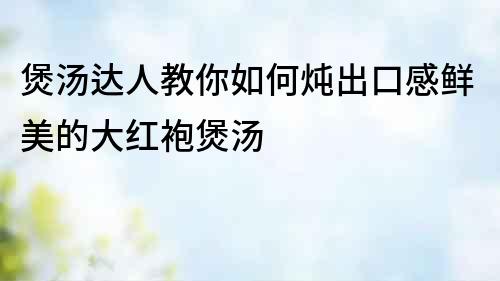 煲湯達(dá)人教你如何燉出口感鮮美的大紅袍煲湯