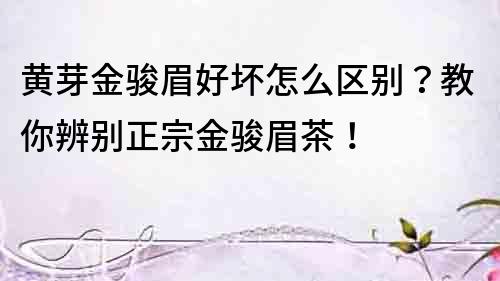 黃芽金駿眉好壞怎么區別？教你辨別正宗金駿眉茶！