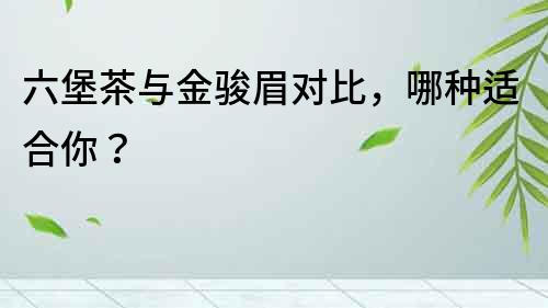 六堡茶與金駿眉對比，哪種適合你？