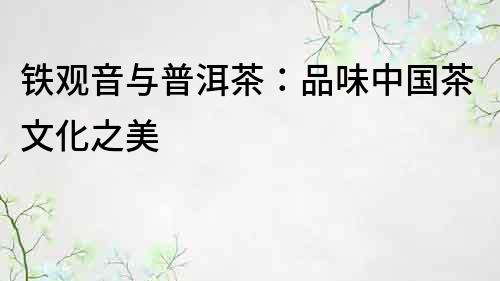 鐵觀音與普洱茶：品味中國茶文化之美
