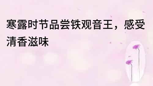 寒露時節品嘗鐵觀音王，感受清香滋味