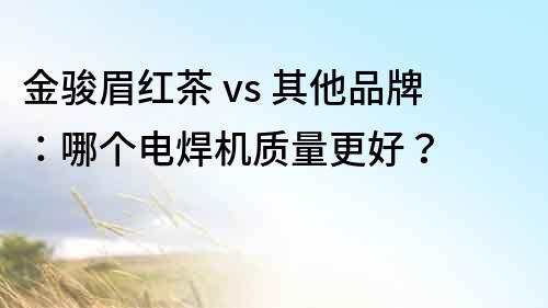 金駿眉紅茶 vs 其他品牌：哪個電焊機質量更好？