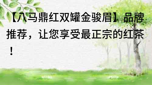 【八馬鼎紅雙罐金駿眉】品牌推薦，讓您享受最正宗的紅茶！
