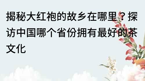 揭秘大紅袍的故鄉在哪里？探訪中國哪個省份擁有最好的茶文化