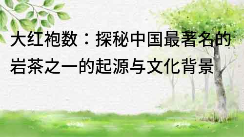 大紅袍數：探秘中國最著名的巖茶之一的起源與文化背景