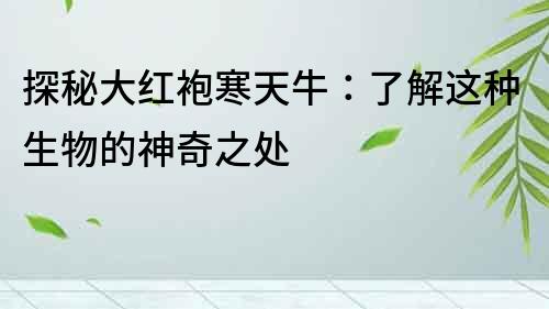 探秘大紅袍寒天牛：了解這種生物的神奇之處