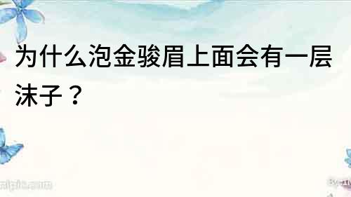 為什么泡金駿眉上面會有一層沫子？