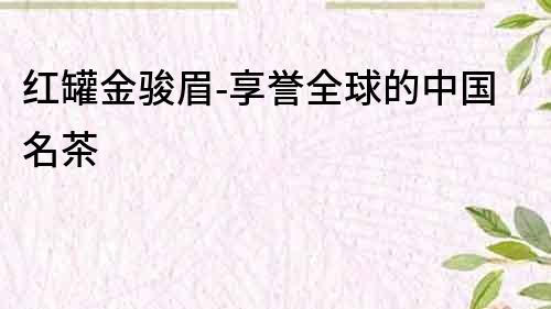 紅罐金駿眉-享譽全球的中國名茶