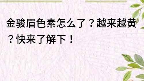 金駿眉色素怎么了？越來越黃？快來了解下！