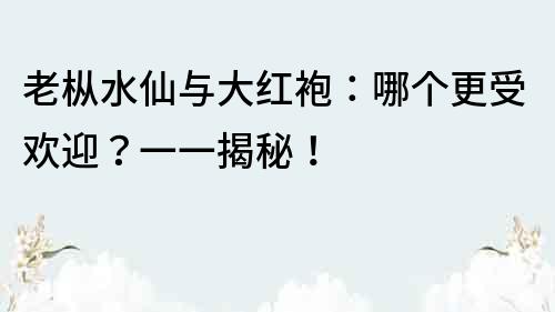 老樅水仙與大紅袍：哪個(gè)更受歡迎？一一揭秘！