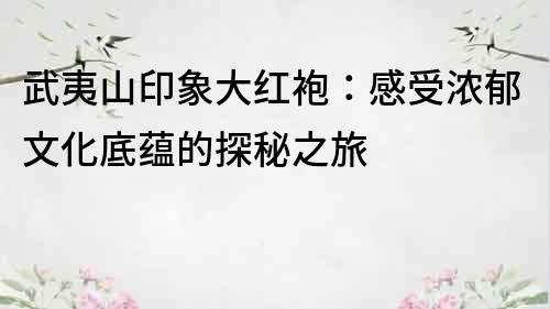 武夷山印象大紅袍：感受濃郁文化底蘊的探秘之旅