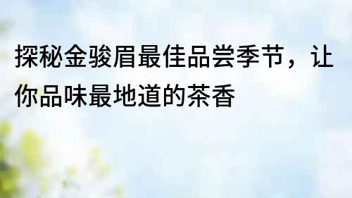 探秘金駿眉最佳品嘗季節，讓你品味最地道的茶香