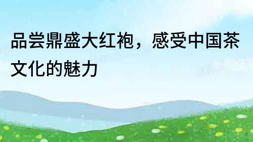 品嘗鼎盛大紅袍，感受中國茶文化的魅力