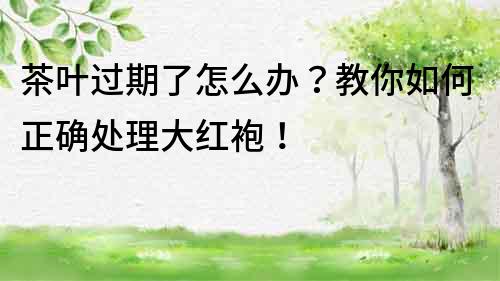 茶葉過期了怎么辦？教你如何正確處理大紅袍！