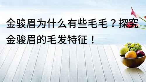 金駿眉為什么有些毛毛？探究金駿眉的毛發(fā)特征！