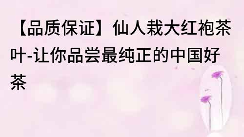 【品質(zhì)保證】仙人栽大紅袍茶葉-讓你品嘗最純正的中國(guó)好茶