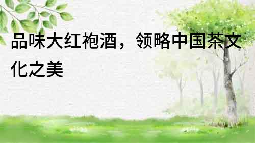 品味大紅袍酒，領略中國茶文化之美