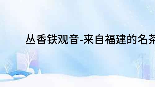 叢香鐵觀音-來自福建的名茶