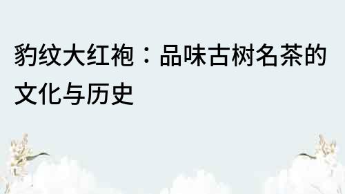 豹紋大紅袍：品味古樹名茶的文化與歷史