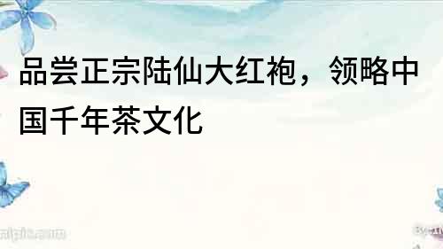 品嘗正宗陸仙大紅袍，領略中國千年茶文化