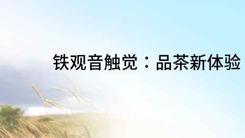 鐵觀音觸覺：品茶新體驗