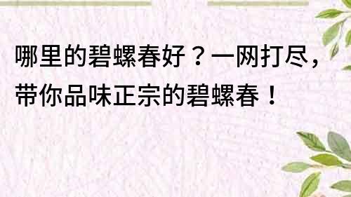 哪里的碧螺春好？一網打盡，帶你品味正宗的碧螺春！