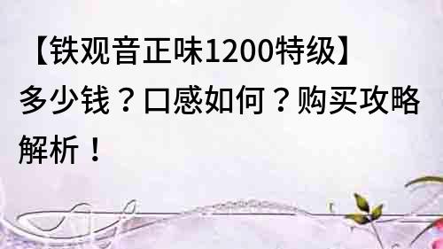 【鐵觀音正味1200特級】多少錢？口感如何？購買攻略解析！