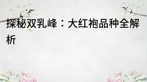 探秘雙乳峰：大紅袍品種全解析
