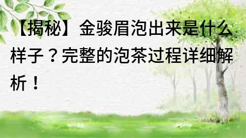 【揭秘】金駿眉泡出來是什么樣子？完整的泡茶過程詳細(xì)解析！
