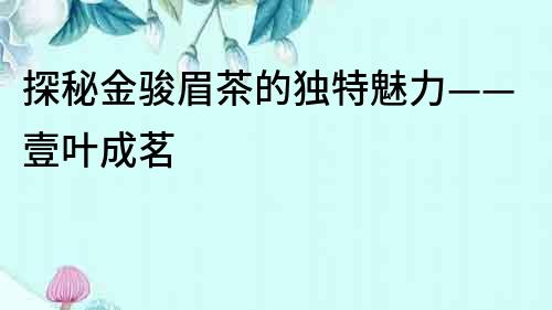 探秘金駿眉茶的獨特魅力——壹葉成茗