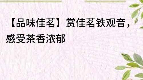 【品味佳茗】賞佳茗鐵觀音，感受茶香濃郁
