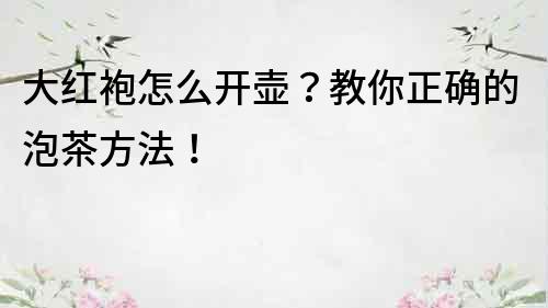 大紅袍怎么開壺？教你正確的泡茶方法！