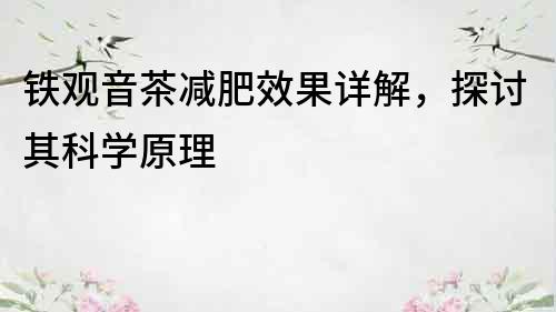 鐵觀音茶減肥效果詳解，探討其科學原理