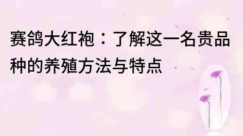 賽鴿大紅袍：了解這一名貴品種的養殖方法與特點