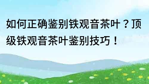 如何正確鑒別鐵觀音茶葉？頂級鐵觀音茶葉鑒別技巧！