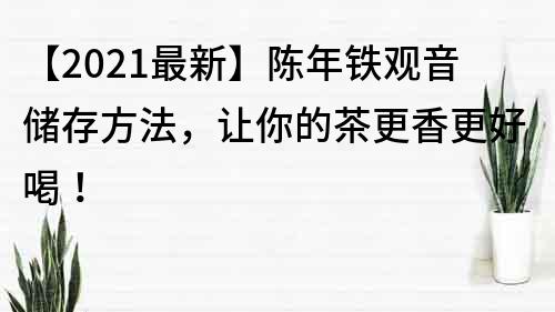 【2023最新】陳年鐵觀音儲存方法，讓你的茶更香更好喝！
